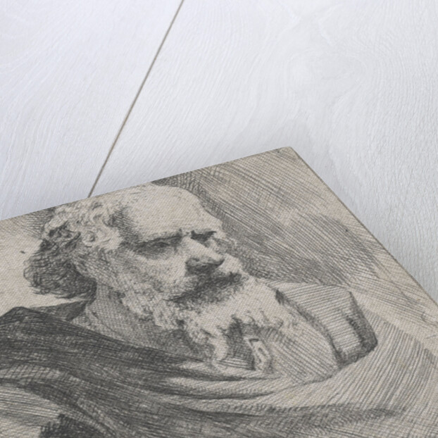 Bust of an old bearded man by Michael Sweerts