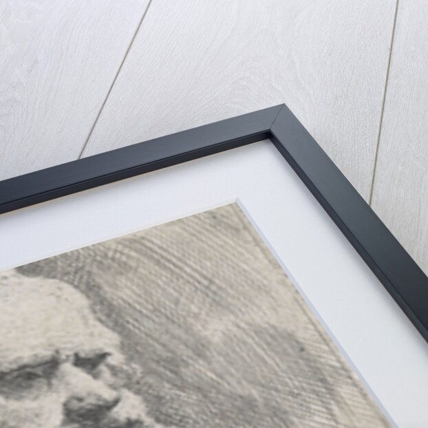 Bust of an old bearded man by Michael Sweerts