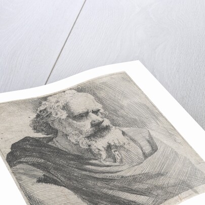 Bust of an old bearded man by Michael Sweerts