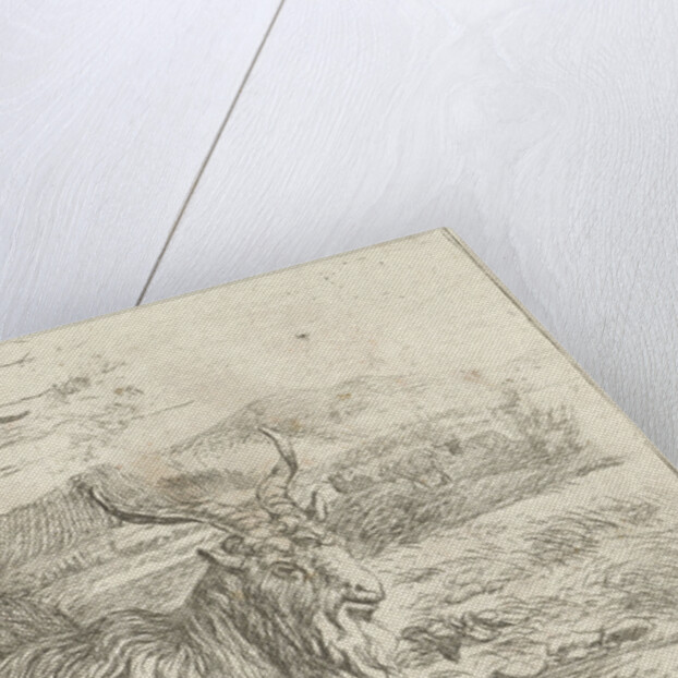 Goat under a tree by Nicolaes Pietersz. Berchem