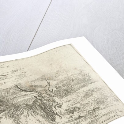 Goat under a tree by Nicolaes Pietersz. Berchem