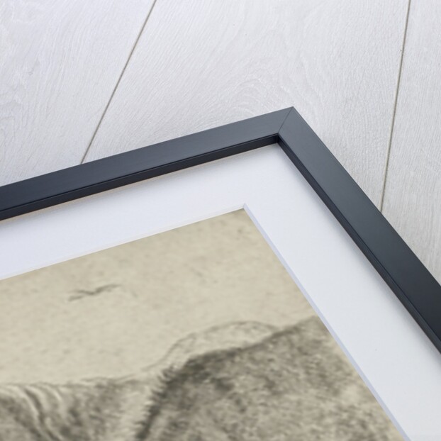 Animals at a fountain by Jan van den Hecke I