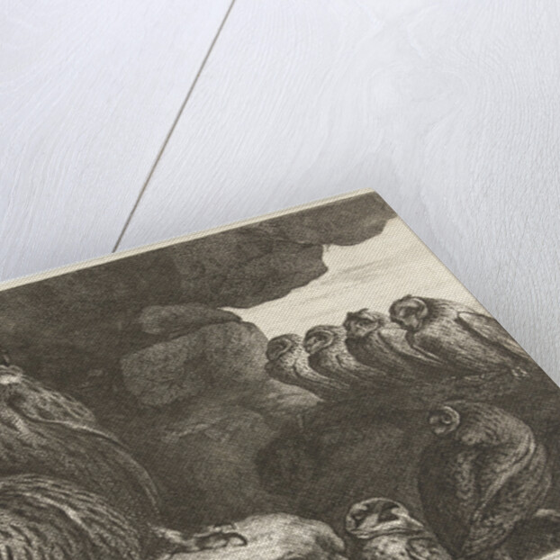 Owls in a cave by King of France