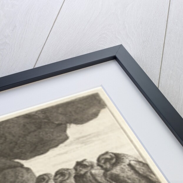 Owls in a cave by King of France