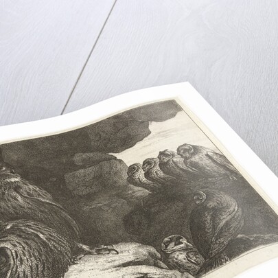 Owls in a cave by King of France