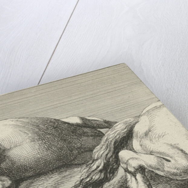 Two killed horses by unknown