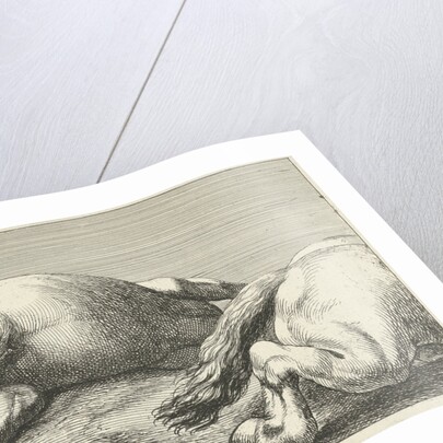 Two killed horses by unknown