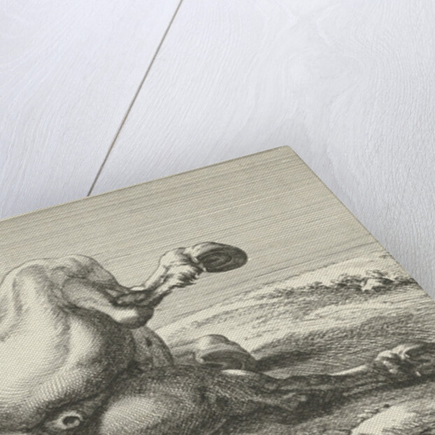 Killed horse by Anonymous