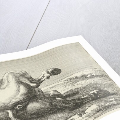 Killed horse by Anonymous