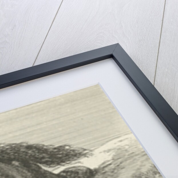 Killed horse by Anonymous