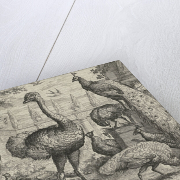 Various birds and a monkey by Pierce Tempest