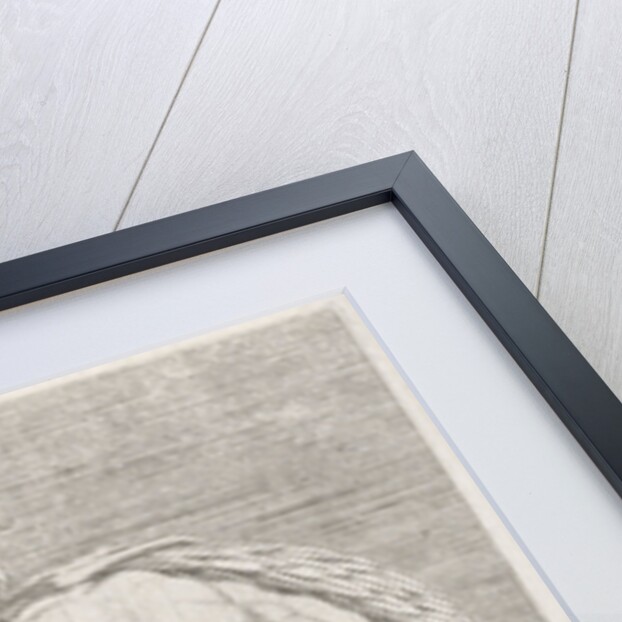 Figure from the Sistine Chapel by Dirck Volckertsz Coornhert