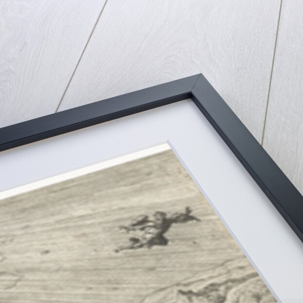 Fall of Icarus by Anonymous