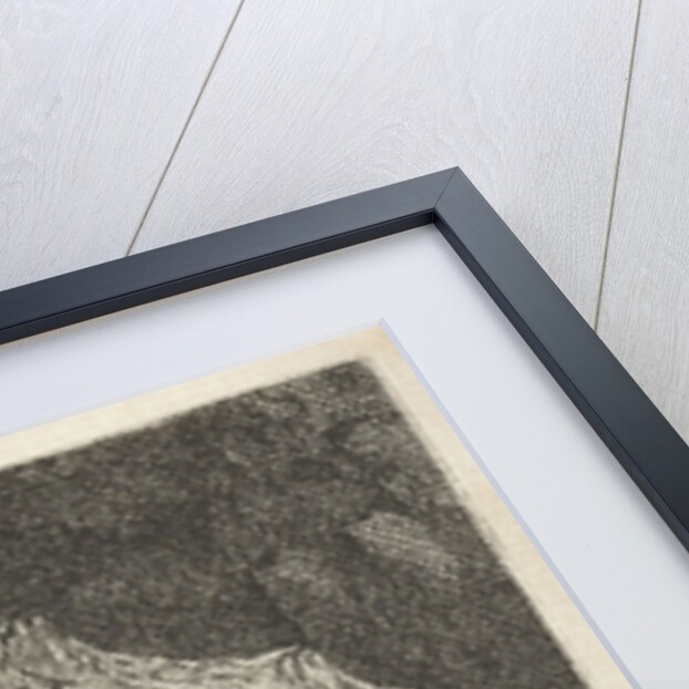 Queen hidden in a cave by Jacob Lescailje