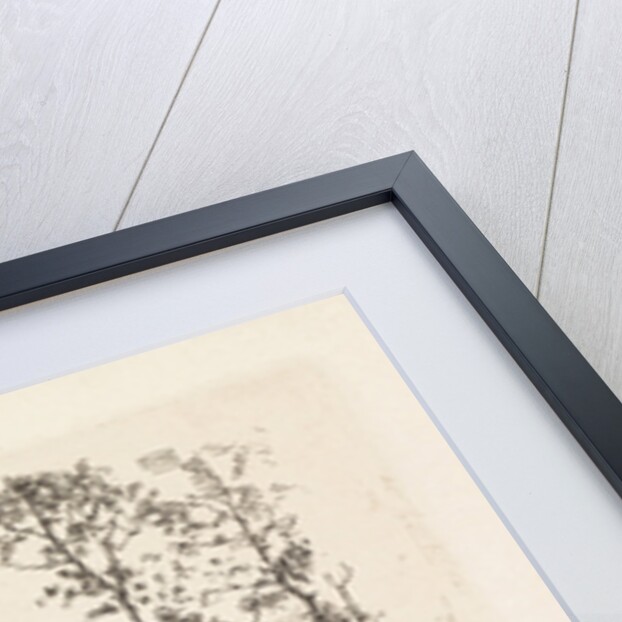 Landscape by Elias Stark