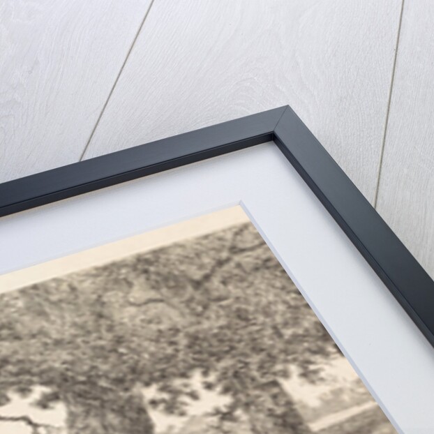 Geese in the water by Elias Stark