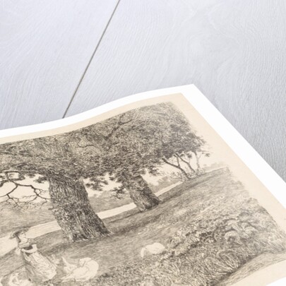 Geese in the water by Elias Stark