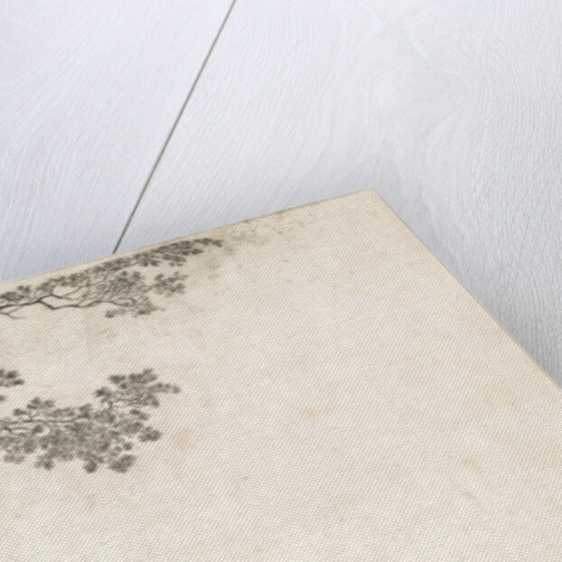 Geese in the water by Elias Stark