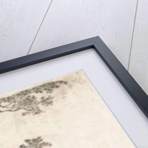 Geese in the water by Elias Stark