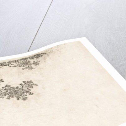 Geese in the water by Elias Stark