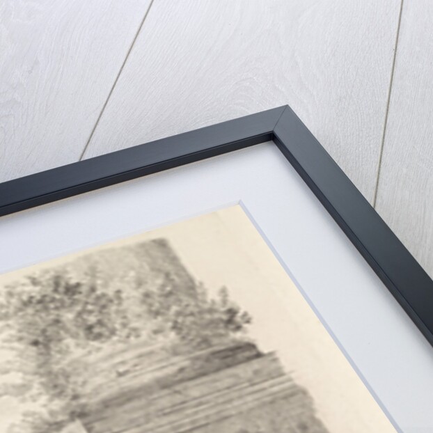 Three dogs at the foot of a pillar by William Bikker-Top