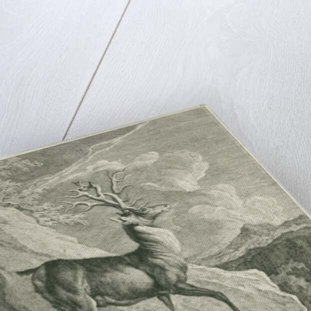 A deer by Johann Elias Ridinger