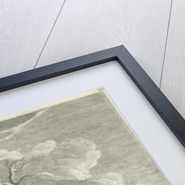 A deer by Johann Elias Ridinger