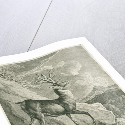A deer by Johann Elias Ridinger