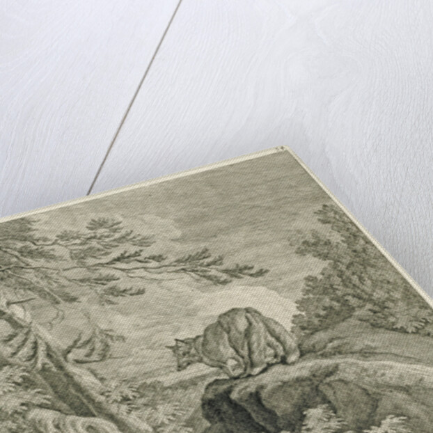 A fox with two tails by Johann Elias Ridinger