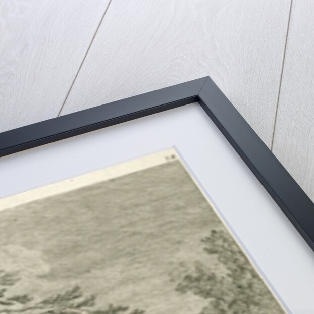 A fox with two tails by Johann Elias Ridinger