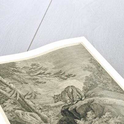 A fox with two tails by Johann Elias Ridinger