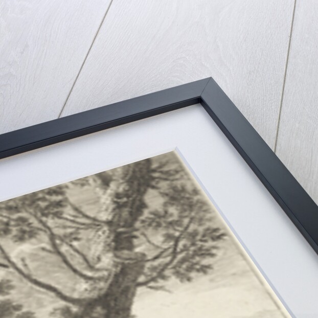 Death of Adonis by Lodewijk XIV