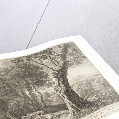 Death of Adonis by Lodewijk XIV