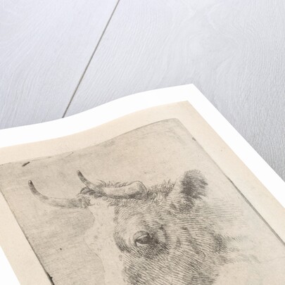 Head of a bull by Dirk van Oosterhoudt