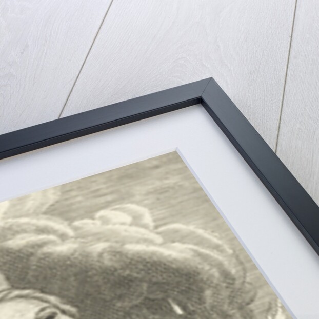 Martyrdom of Jesuit Carlo Spinola in Nagasaki by Anonymous