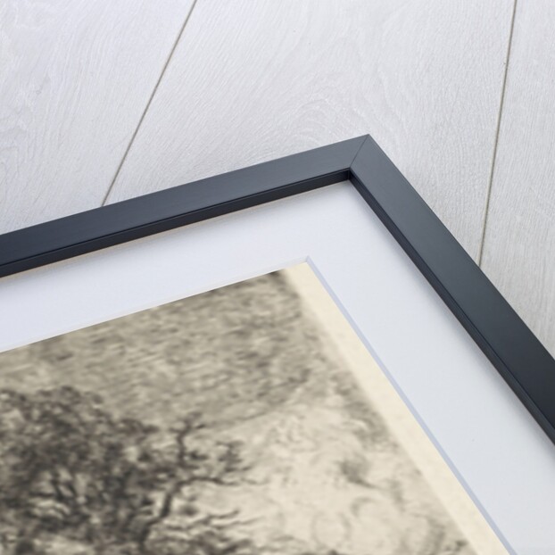 Three trees on a shore by Augustinus Jacobus Bernardus Wouters