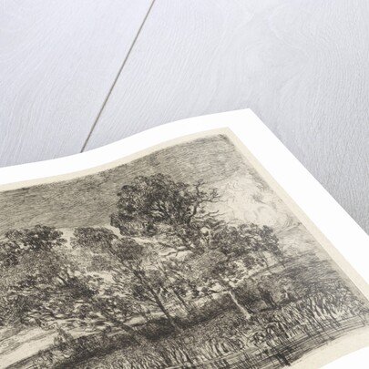 Three trees on a shore by Augustinus Jacobus Bernardus Wouters