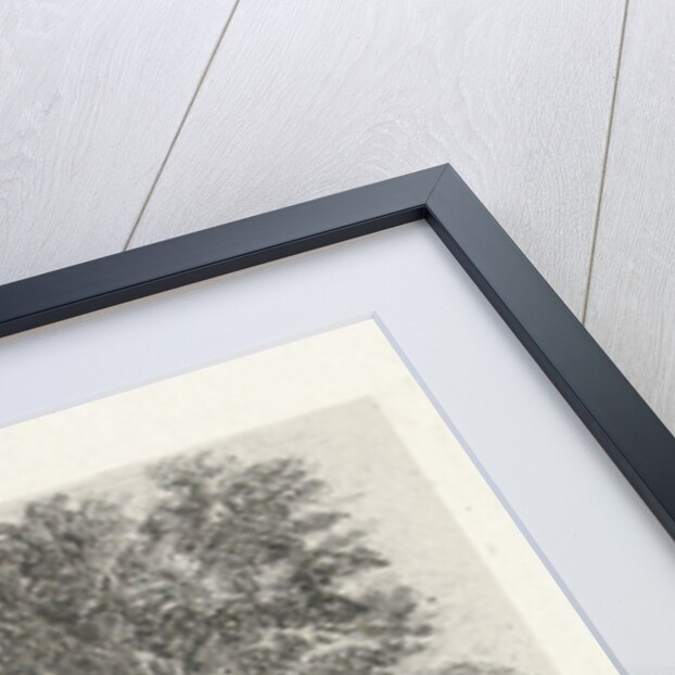 Cows at a road by Charles Rochussen