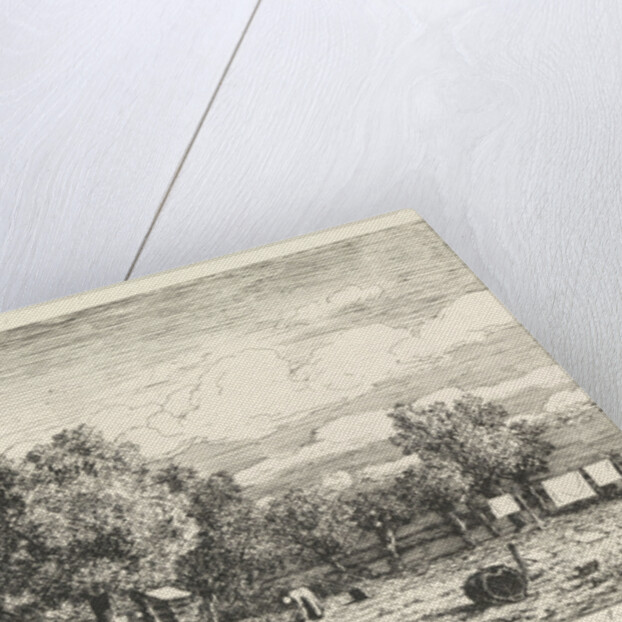 Bleekveld, bleach field by Alexander Mollinger