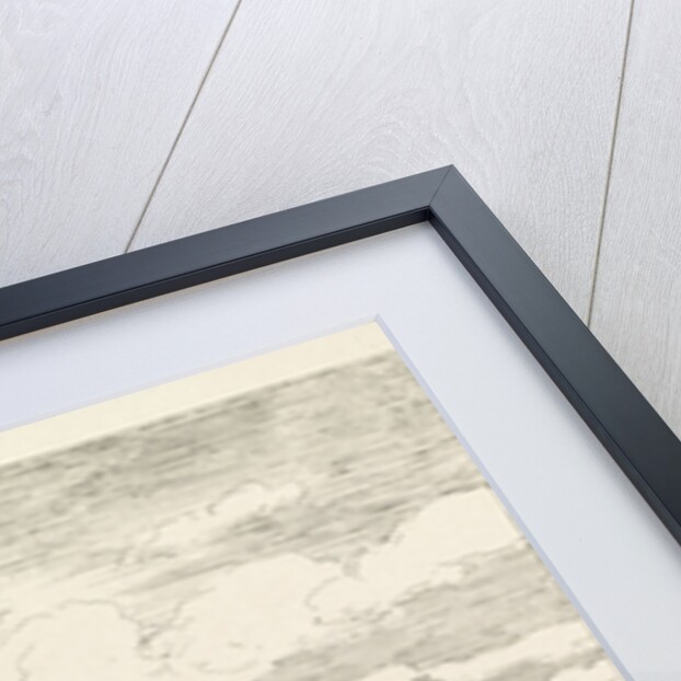 Bleekveld, bleach field by Alexander Mollinger