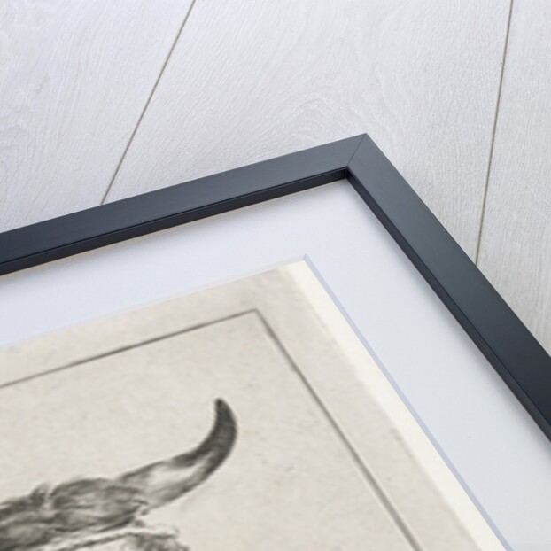 Head of a cow with rope around the horns by Jacobus Cornelis Gaal