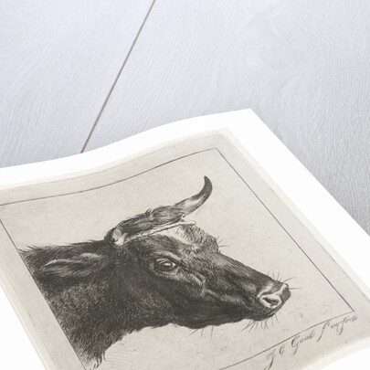 Head of a cow with rope around the horns by Jacobus Cornelis Gaal