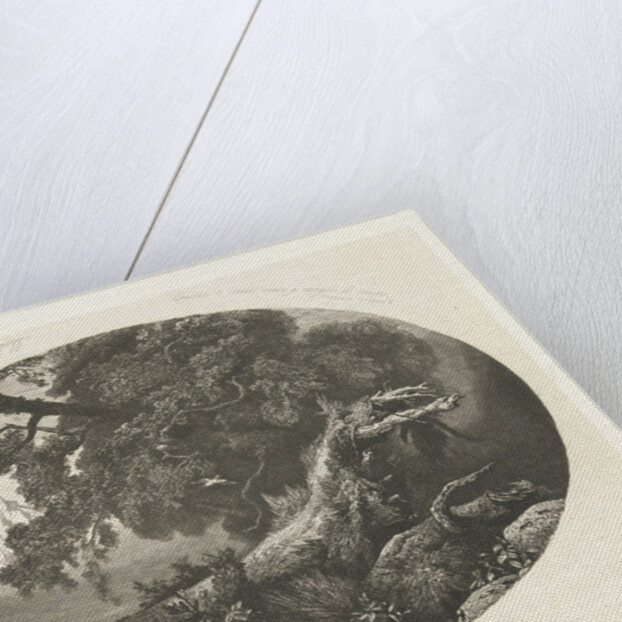 Uprooted tree trunk on the coast by Pierre Louis Dubourcq