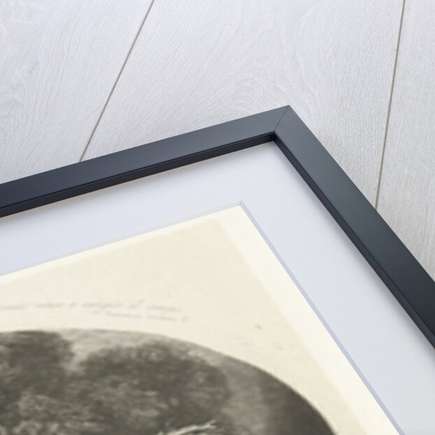 Uprooted tree trunk on the coast by Pierre Louis Dubourcq