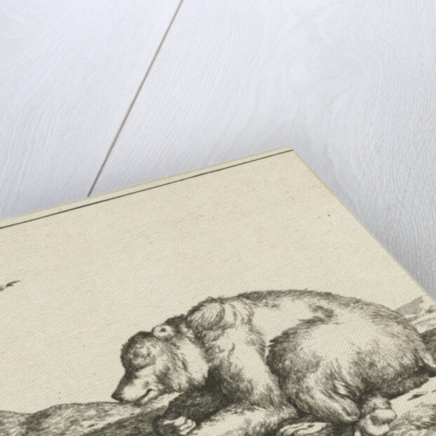 Reclining bear by Marcus Gerards I