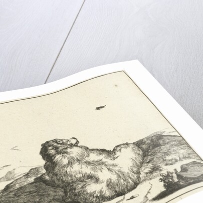 Bear by Marcus Gerards I