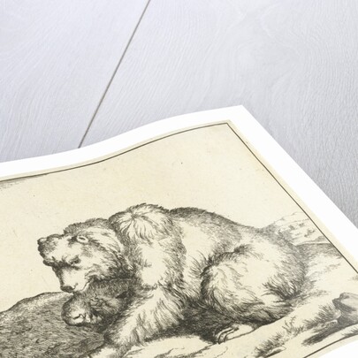 Sitting Bear, and profil by Marcus Gerards I