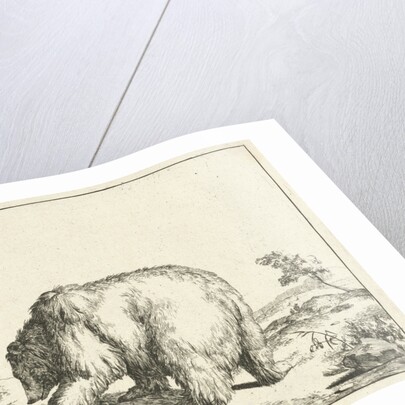 Standing Bear, seen from behind by Marcus Gerards I