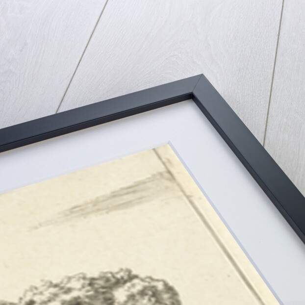 Sheep by Paul Potter