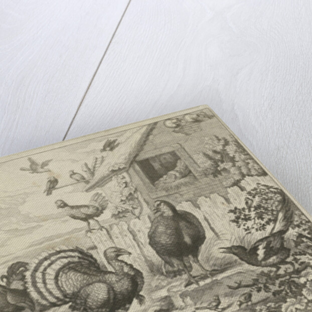 Various poultry and a turkey by Jacob Gole